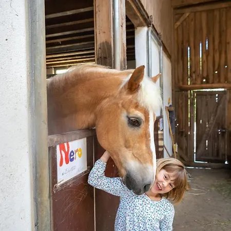 Pferdehof Bischof Apartment