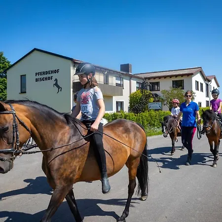 Pferdehof Bischof Wertheim