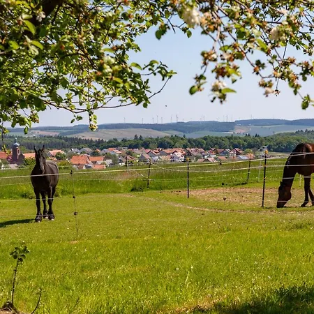 Pferdehof Bischof *