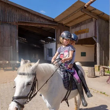 Apartment Pferdehof Bischof