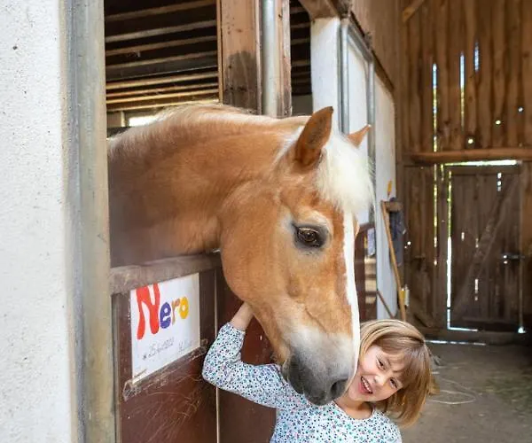 Pferdehof Bischof Apartmán