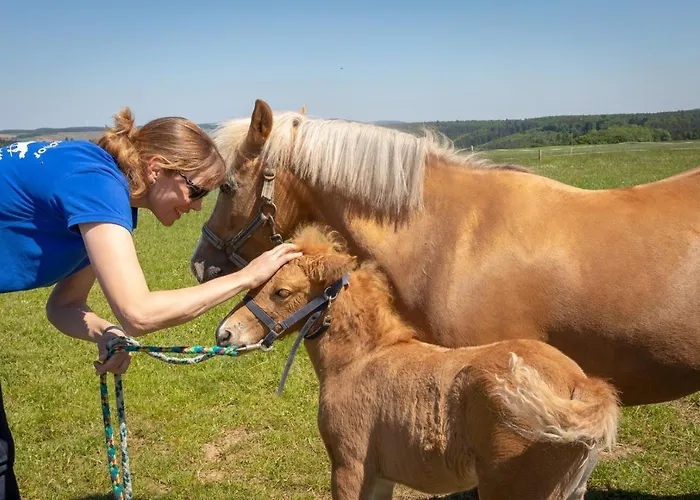 Pferdehof Bischof Wertheim